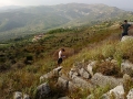 Byllis 2014 10