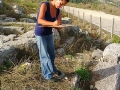 Byllis 2014 5